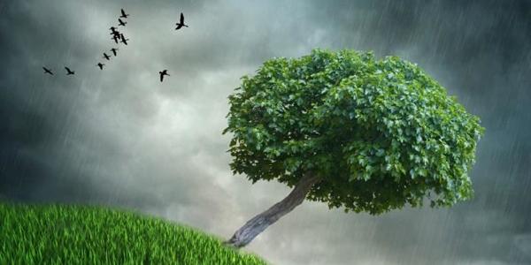 Alerte Orange - orage