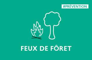 RISQUE DE FEUX DE FORÊTS