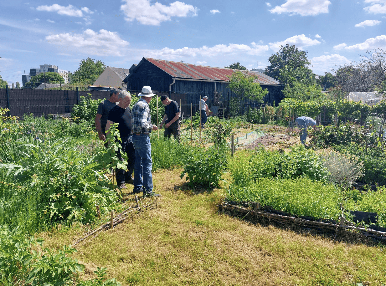 Jardiniers travaillant dans leur parcelle des jardins familiaux