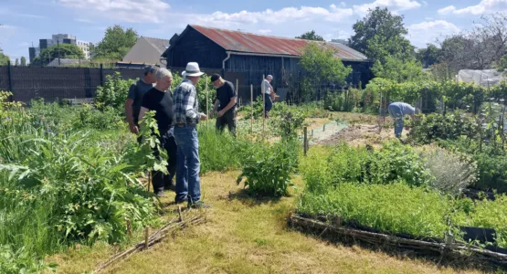 Jardiniers travaillant dans leur parcelle des jardins familiaux