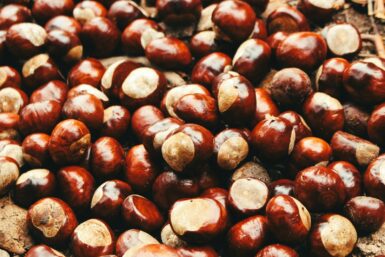 A pile of chestnuts sitting on top of a wooden table