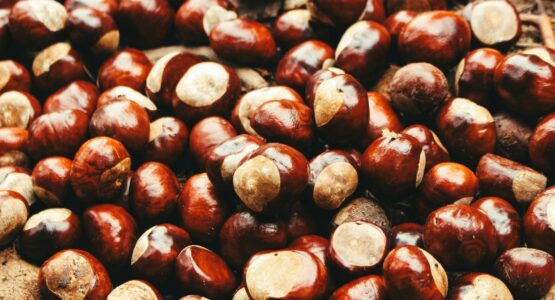 A pile of chestnuts sitting on top of a wooden table